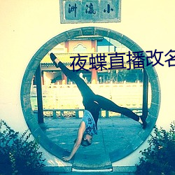 夜蝶直(zhí)播(bō)改(gǎi)名