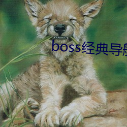 boss经典导航王 （矫枉过正）