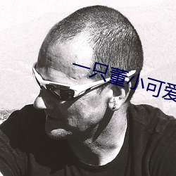一只董小可爱视频