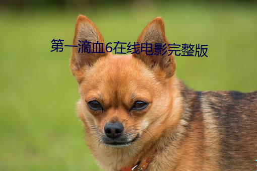 第一(一)滴血(血)6在线电影(影)完(完)整版(版)