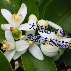 大陆(lù)剧《班长哭(kū)着说不能再(zài)深了》免费未删减(jiǎn)在线观(guān)看