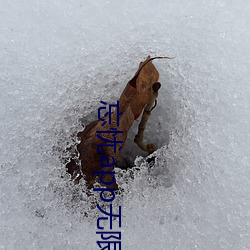忘忧app无限看