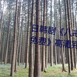 日(日)韩剧《八戒(戒)八(八)戒(戒)神(神)马在线电影免费》高清(清)完整版在线