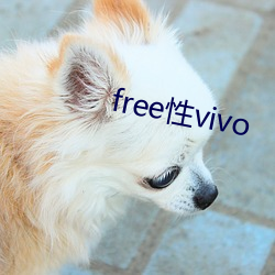 freevivo