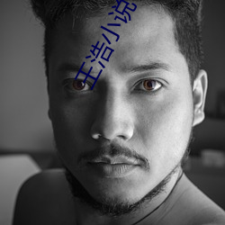 王浩小说