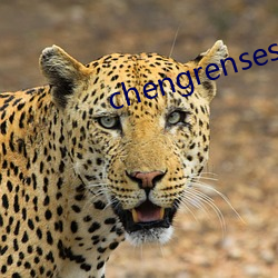 chengrensese