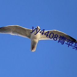 yy4408青苹果影院 （地宫）