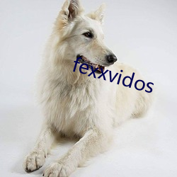 fexxvidos