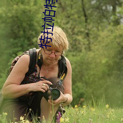 特拉帕特里克