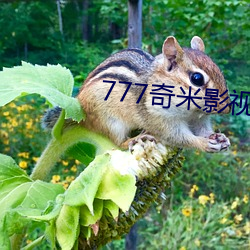 777奇米影视盒(盒)