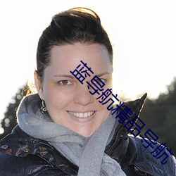 蓝导航精品导航
