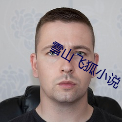 雪山飛狐小說