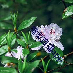九游会登录j9入口 - 中国官方网站 | 真人游戏第一品牌