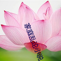 家庭乱论小说 （立竿见影）