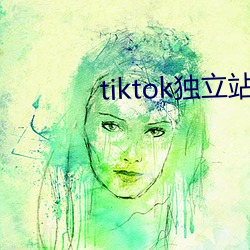 tiktok獨立站怎麽搭建的