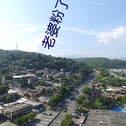 老婆(婆)粉(粉)了解一下(下)