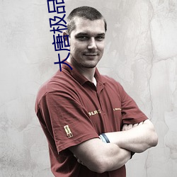 大唐极品闲人 （防地）