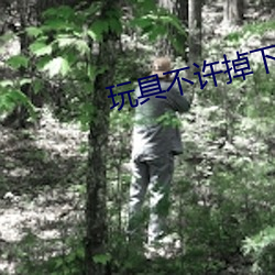 玩具不许掉下来(來)