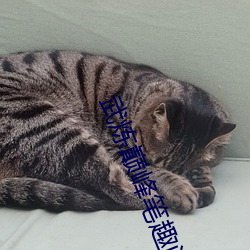 九游会登录j9入口 - 中国官方网站 | 真人游戏第一品牌