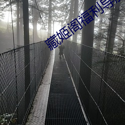 藏姬阁福利导航