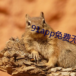 91app免费无限看