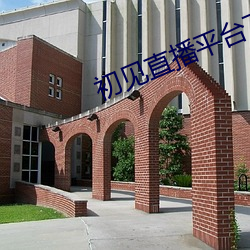 ca88手机客户端(安卓/苹果)CA88会员登录入口