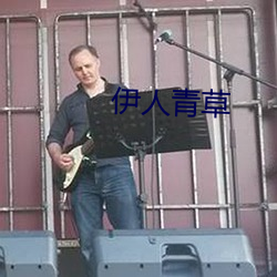 伊人青草