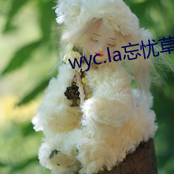 wyc.la忘忧草官网 真珠）