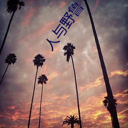 人与野鲁 毛片 （歇夏
