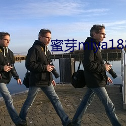 蜜芽miya188coo永不失联 （羞愤��