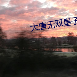 大唐(táng)无双皇子