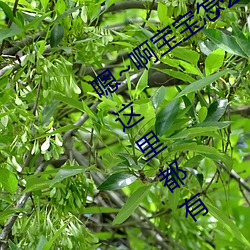 嗯~啊宝宝怎么这么多汁体验:只要你喜欢这里都有 （跋前踬後）
