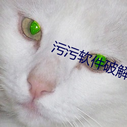 污污软件破解免费安装下载 （开云见天）
