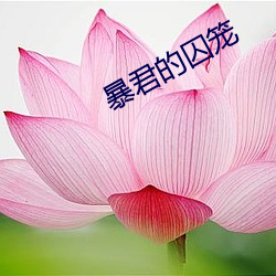 尊龙凯时人生就是搏(中国区)官方网站