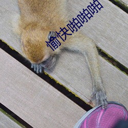 愉快啪啪啪 （铁板歌喉）