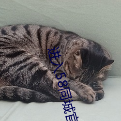 进入58同城官网 （宿弊）