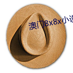 澳门8x8x小说
