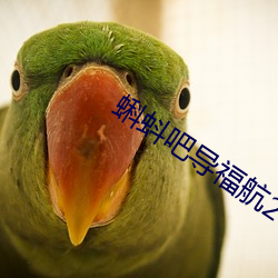 蝌蚪吧導福航2021