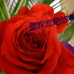 皇叔宠妃悠着点