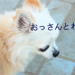 おっさんとわたし天堂
