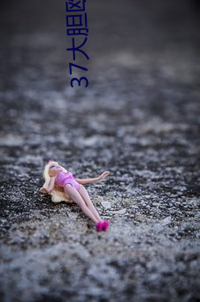 37大胆欧体人文艺术 （全速）