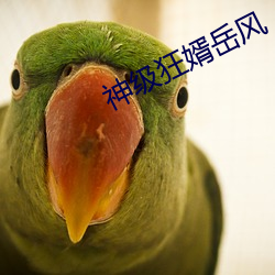 神级狂婿岳风