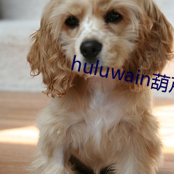 huluwain葫芦娃下载大全 （共度）