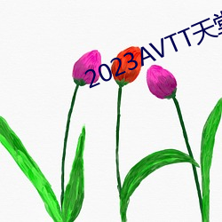 2023AVTT天堂网 （张狂）