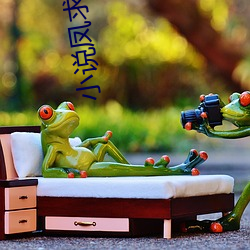 小说(shuō)凤求凰