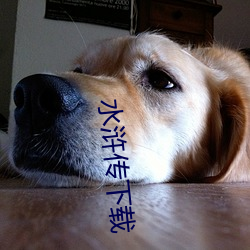 vwinӮ(й) - ٷվ