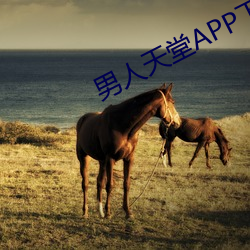 男(男)人天堂APP下载(載)
