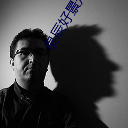 良辰好景知几何免费观看完