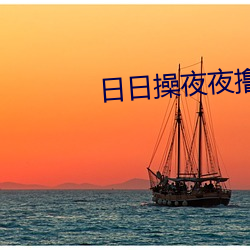 日日操夜夜撸