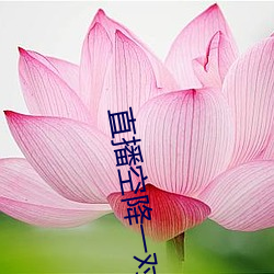 直(直)播空降一(一)对一(一)